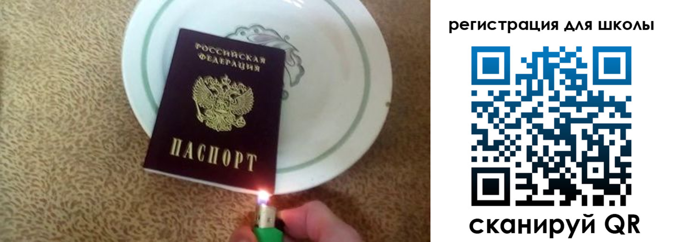 прописка поиск в Сафоново